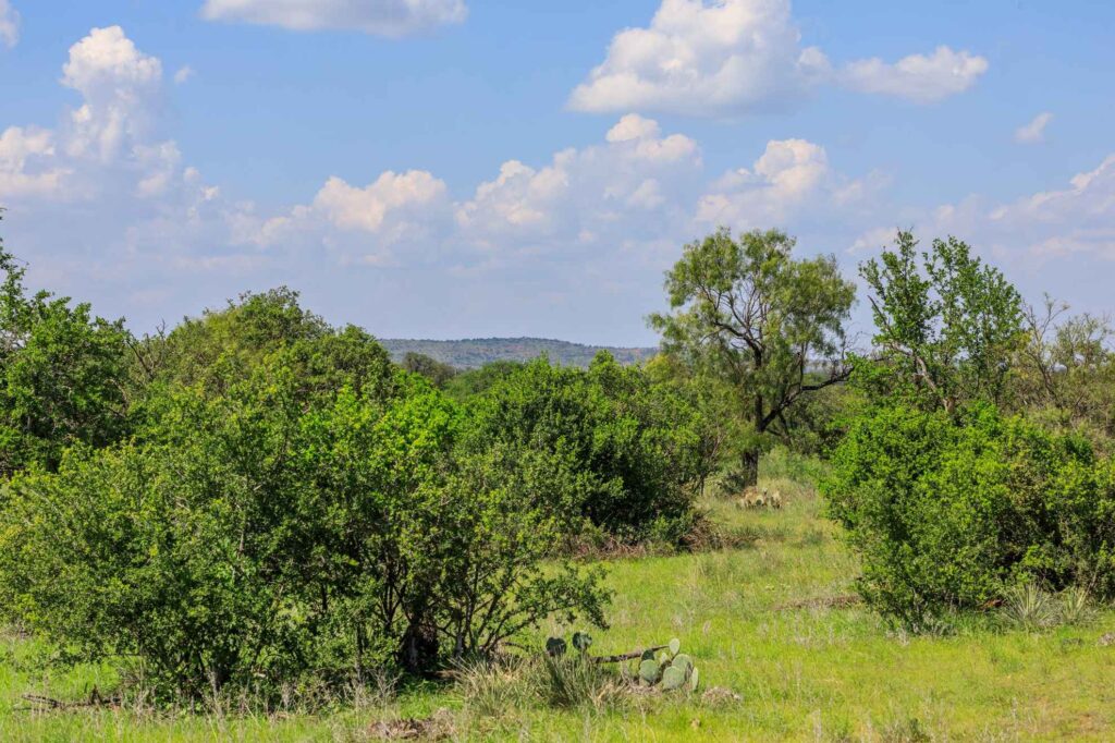 Stillwaters Land Co Clayton Leverett